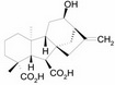 18-HYDROXY-GIBBERELLIN A12